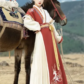 Originalas Geresnis Hanfu Suknelė Moterų Stiliaus Kinijos Han Elementas Tautinių Mažumų Style Velvet Tango Striukė Tibeto stiliaus Kostiumas